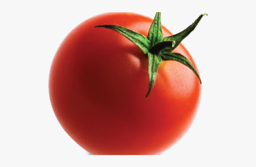 Detail Tomatoes Transparent Nomer 13