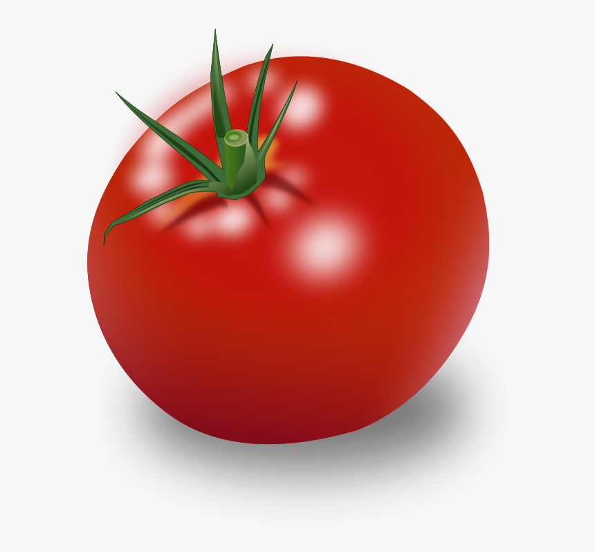 Detail Tomatoes Transparent Nomer 19