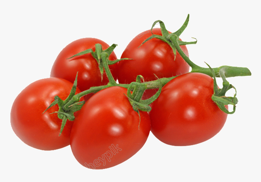 Detail Tomatoes Transparent Nomer 21