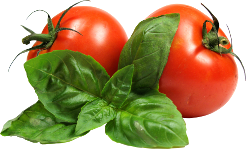 Detail Tomatoes Transparent Nomer 25