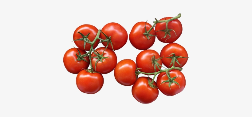 Detail Tomatoes Transparent Nomer 26