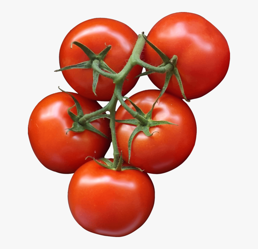 Detail Tomatoes Transparent Nomer 29
