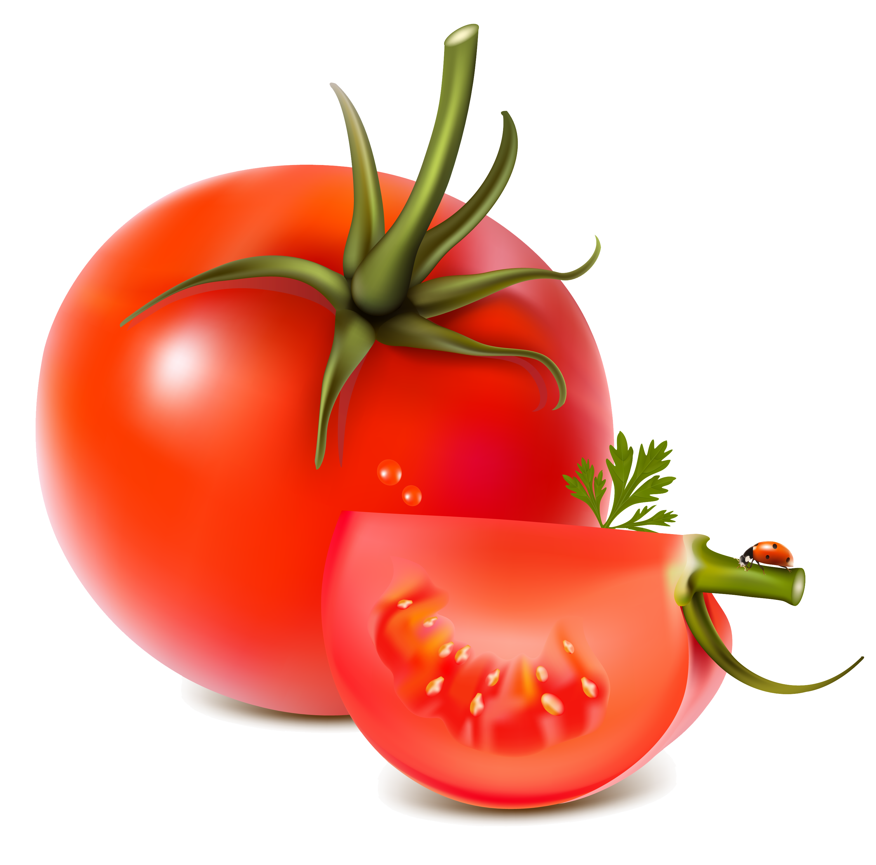 Detail Tomatoes Transparent Nomer 39