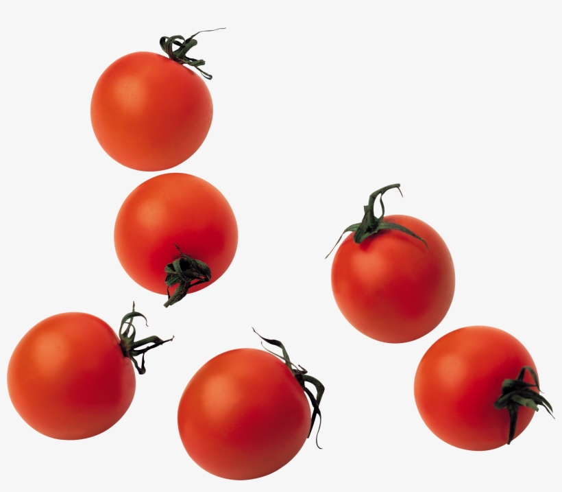 Detail Tomatoes Transparent Nomer 52