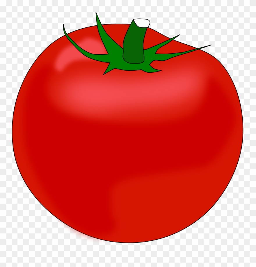 Detail Tomatoes Transparent Nomer 5