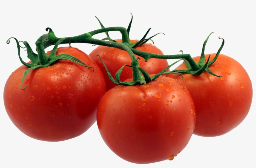 Detail Tomatoes Transparent Background Nomer 15