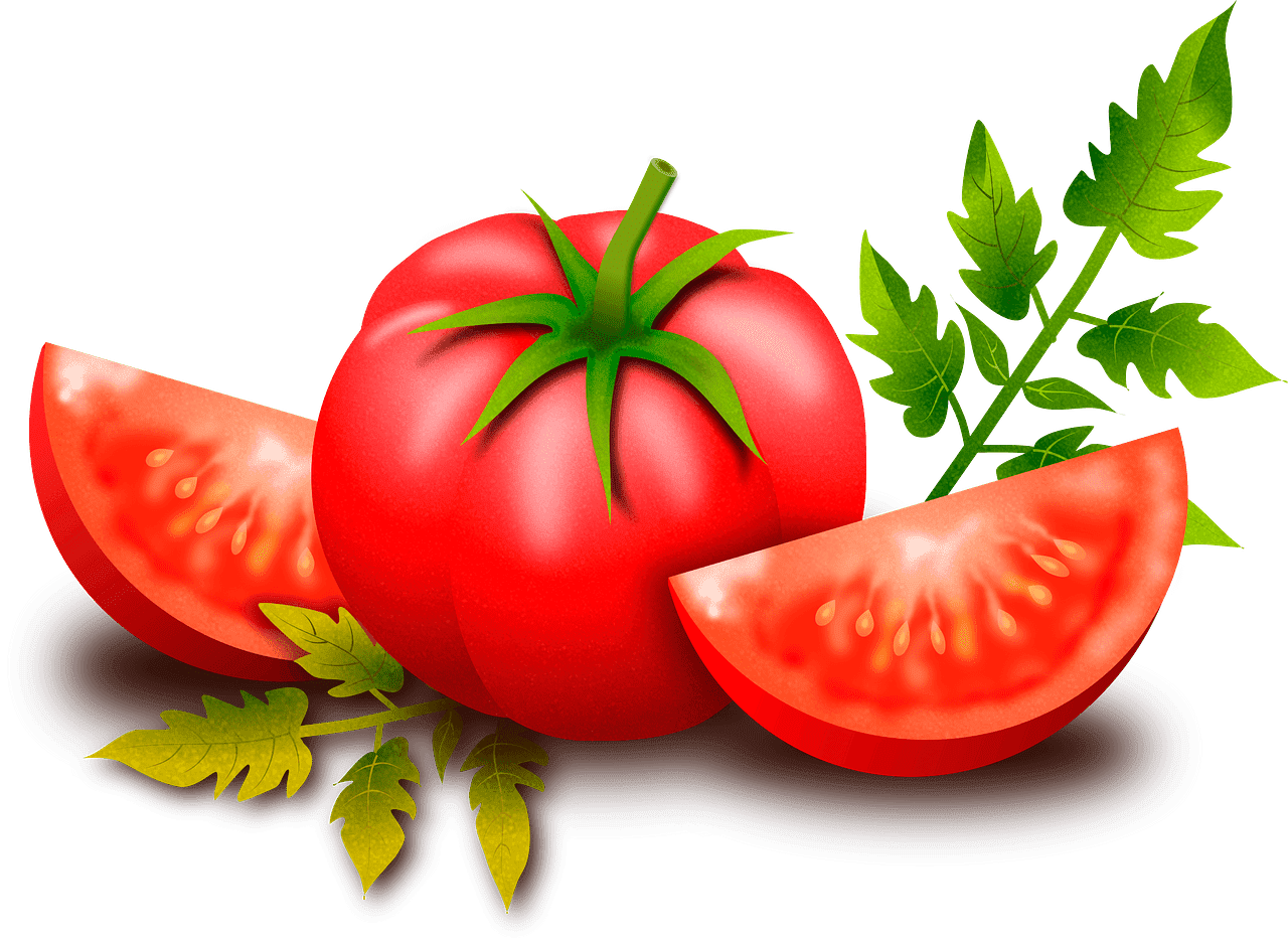 Detail Tomatoes Transparent Background Nomer 25