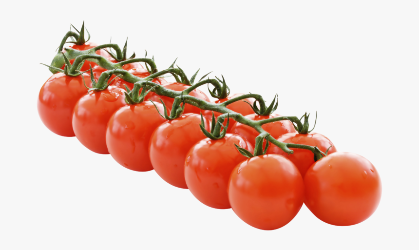 Detail Tomatoes Transparent Background Nomer 43