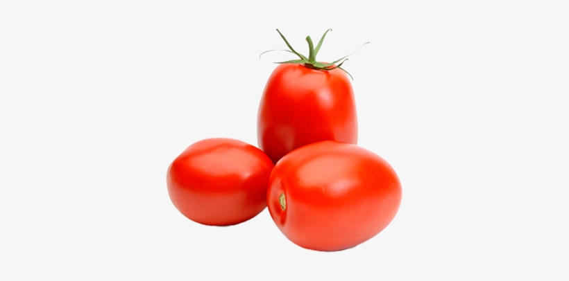 Detail Tomatoes Transparent Background Nomer 45