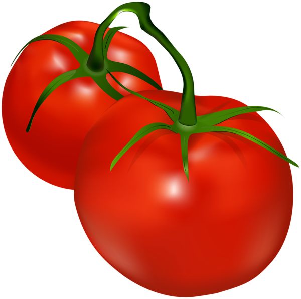 Detail Tomatoes Transparent Background Nomer 50