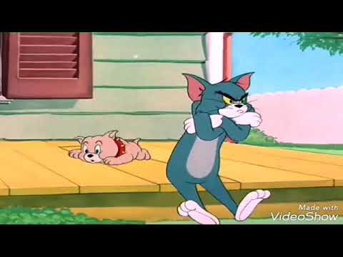 Tomy And Jery - KibrisPDR