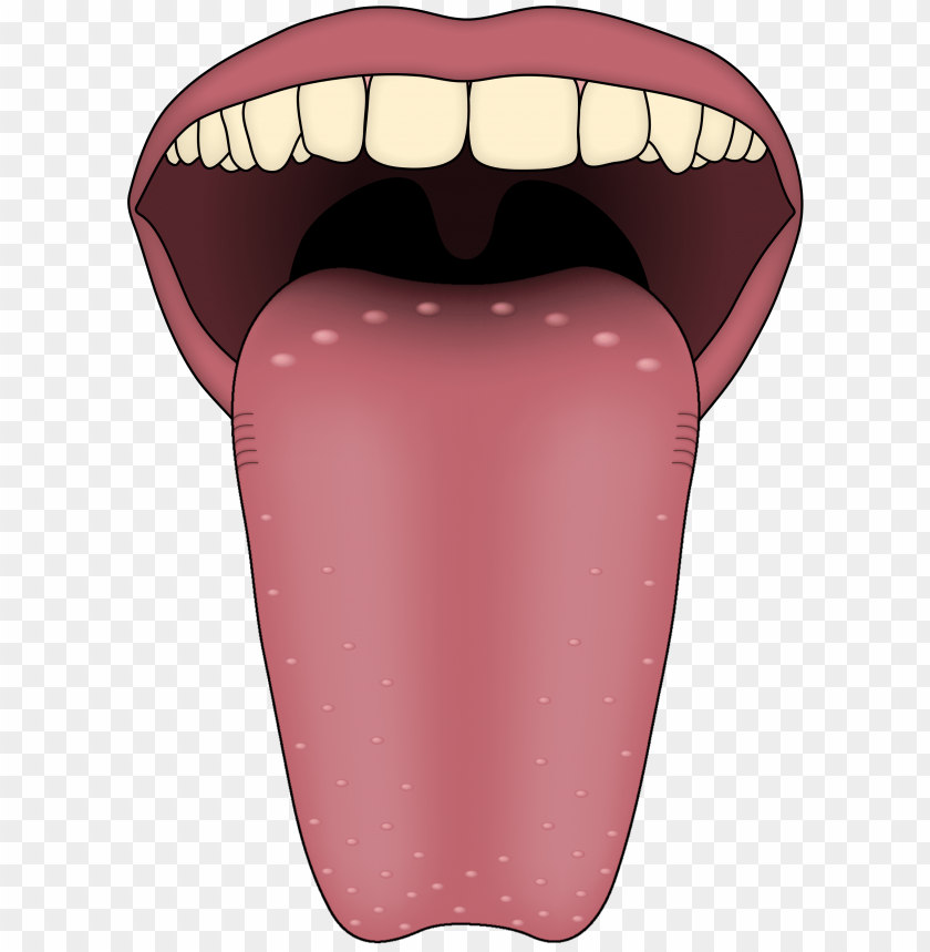 Detail Tongue Clipart Png Nomer 11