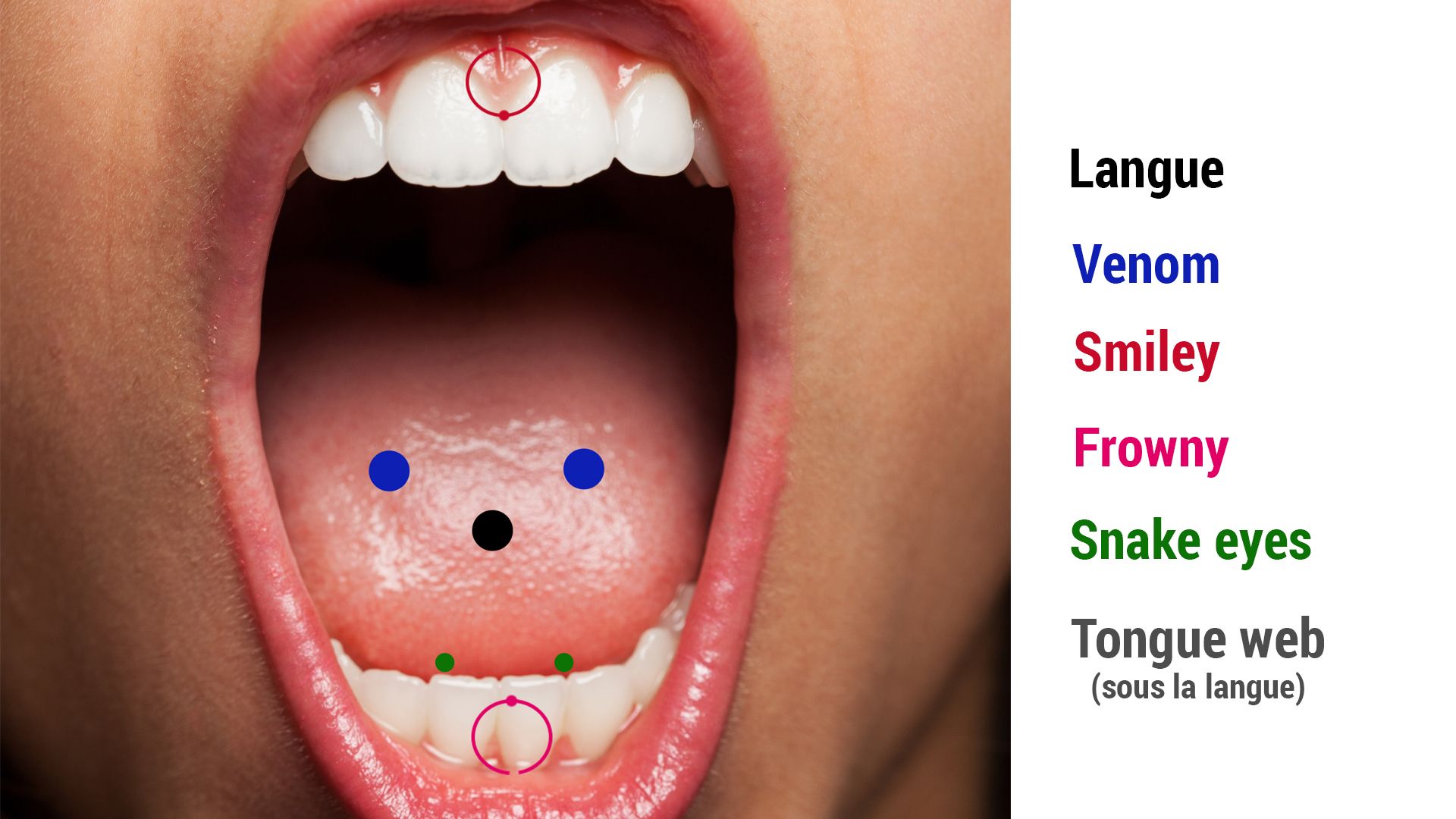 Detail Tongue Piercing Names And Pictures Nomer 6