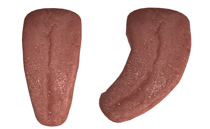 Detail Tongue Transparent Nomer 14