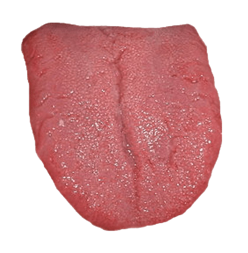 Detail Tongue Transparent Nomer 6