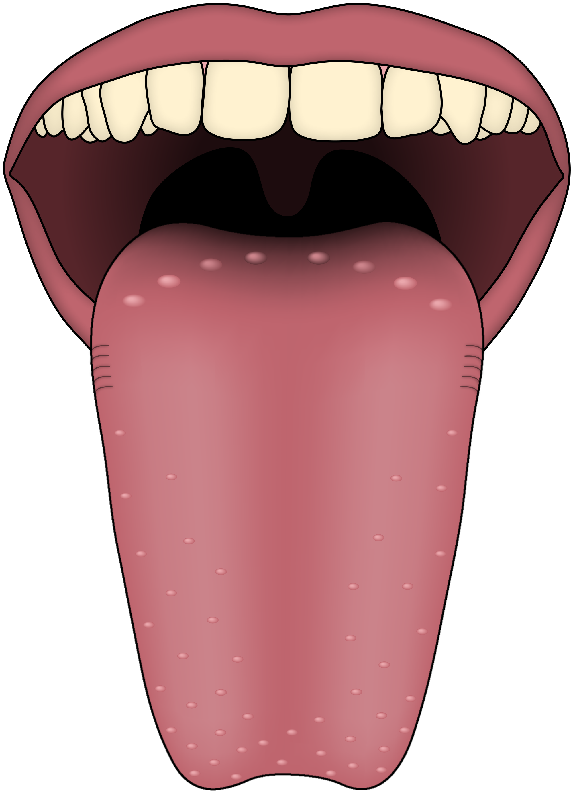 Detail Tongue Transparent Background Nomer 7