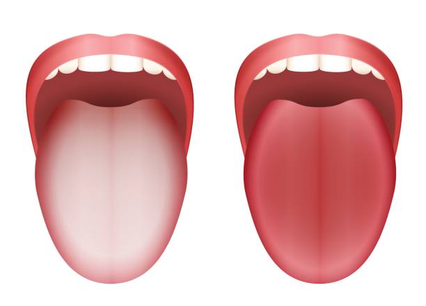 Detail Tongue Vector Nomer 15