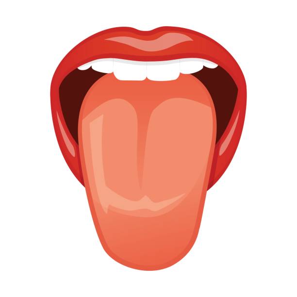Detail Tongue Vector Nomer 3