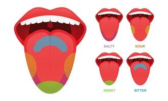Detail Tongue Vector Nomer 37