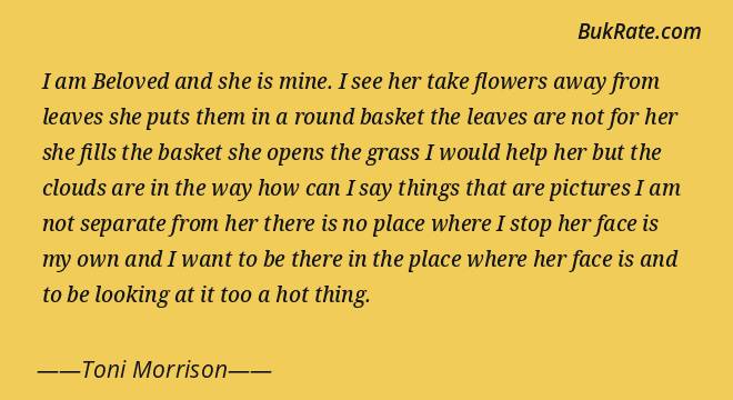 Detail Toni Morrison Beloved Quotes Nomer 38