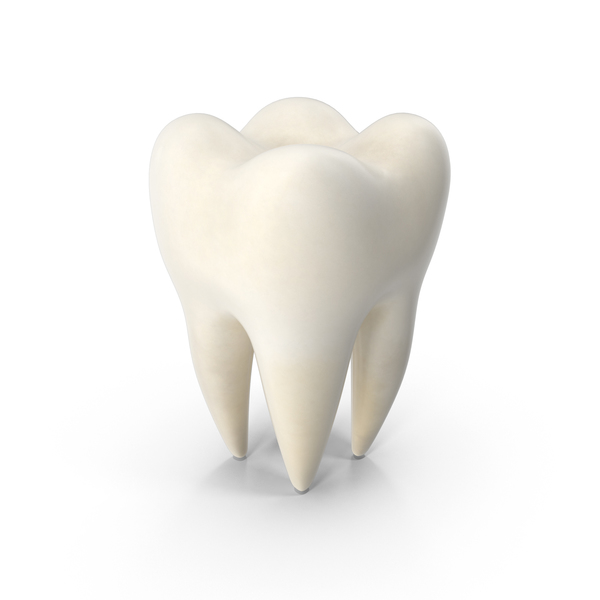Detail Tooth Png Nomer 11