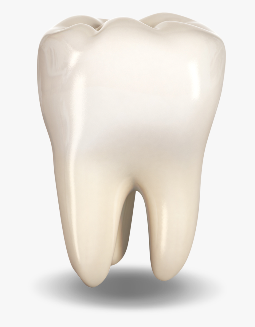 Detail Tooth Png Nomer 8