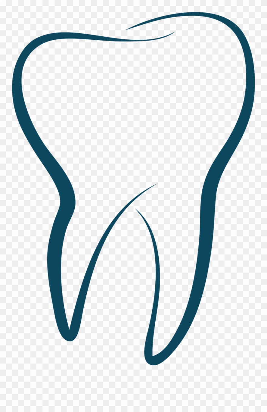 Detail Tooth Transparent Background Nomer 9