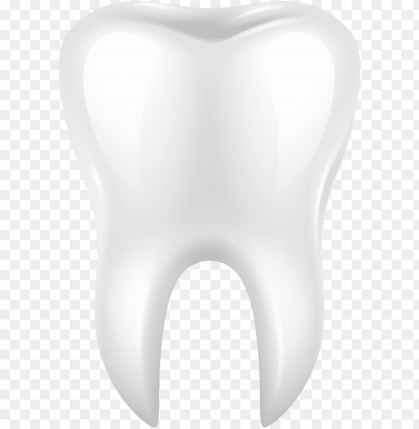 Detail Tooth Transparent Background Nomer 10