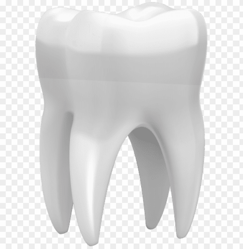 Detail Tooth Transparent Background Nomer 11