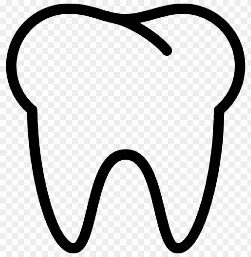 Detail Tooth Transparent Background Nomer 15