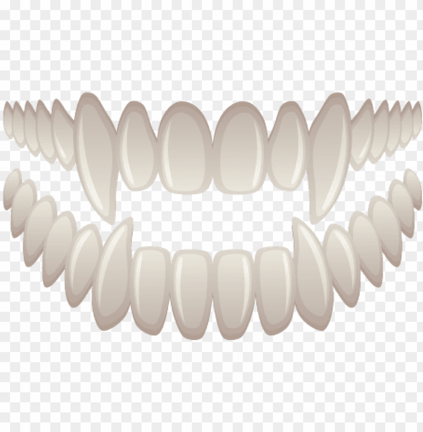 Detail Tooth Transparent Background Nomer 20