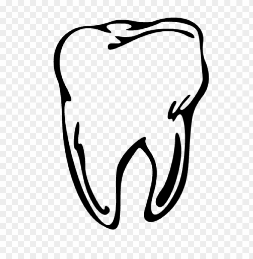 Detail Tooth Transparent Background Nomer 22