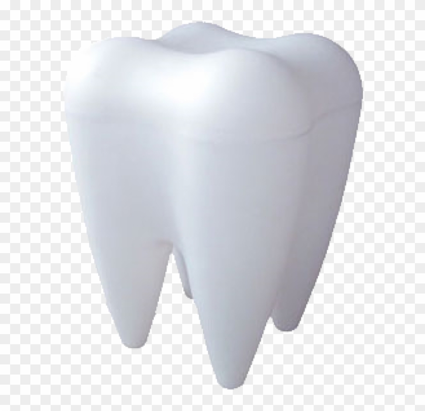 Detail Tooth Transparent Background Nomer 24