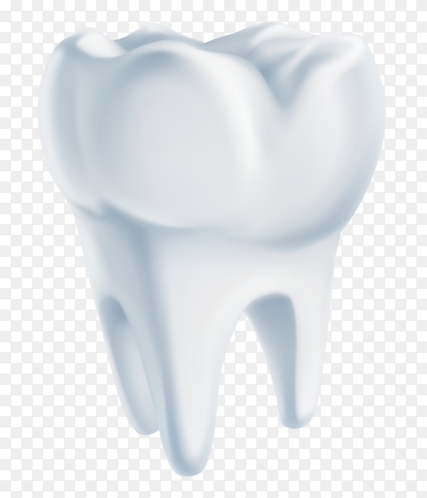 Detail Tooth Transparent Background Nomer 26