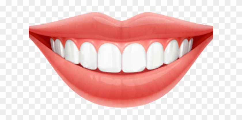 Detail Tooth Transparent Background Nomer 27
