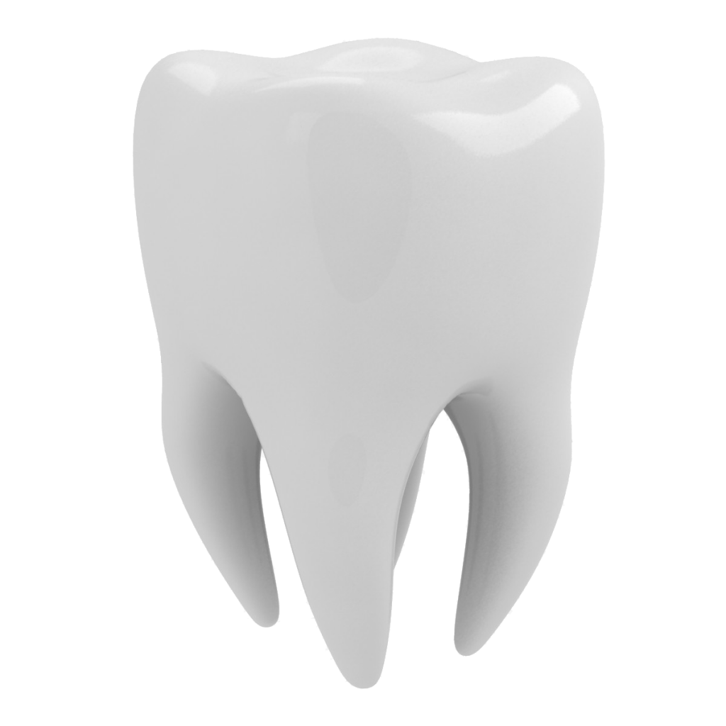 Detail Tooth Transparent Background Nomer 31