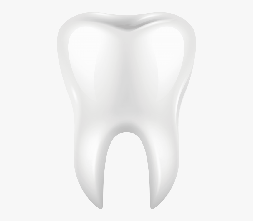 Detail Tooth Transparent Background Nomer 4