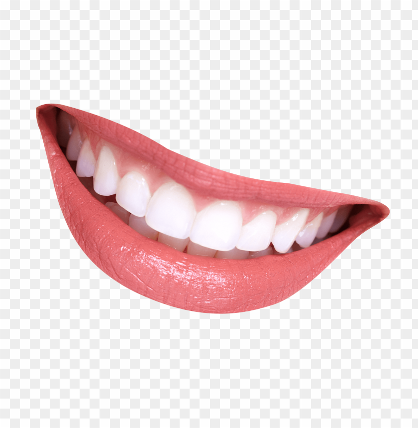 Detail Tooth Transparent Background Nomer 45