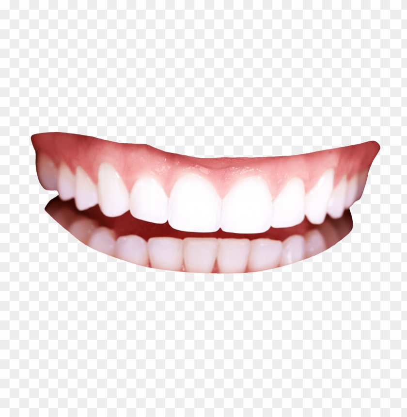 Detail Tooth Transparent Background Nomer 53