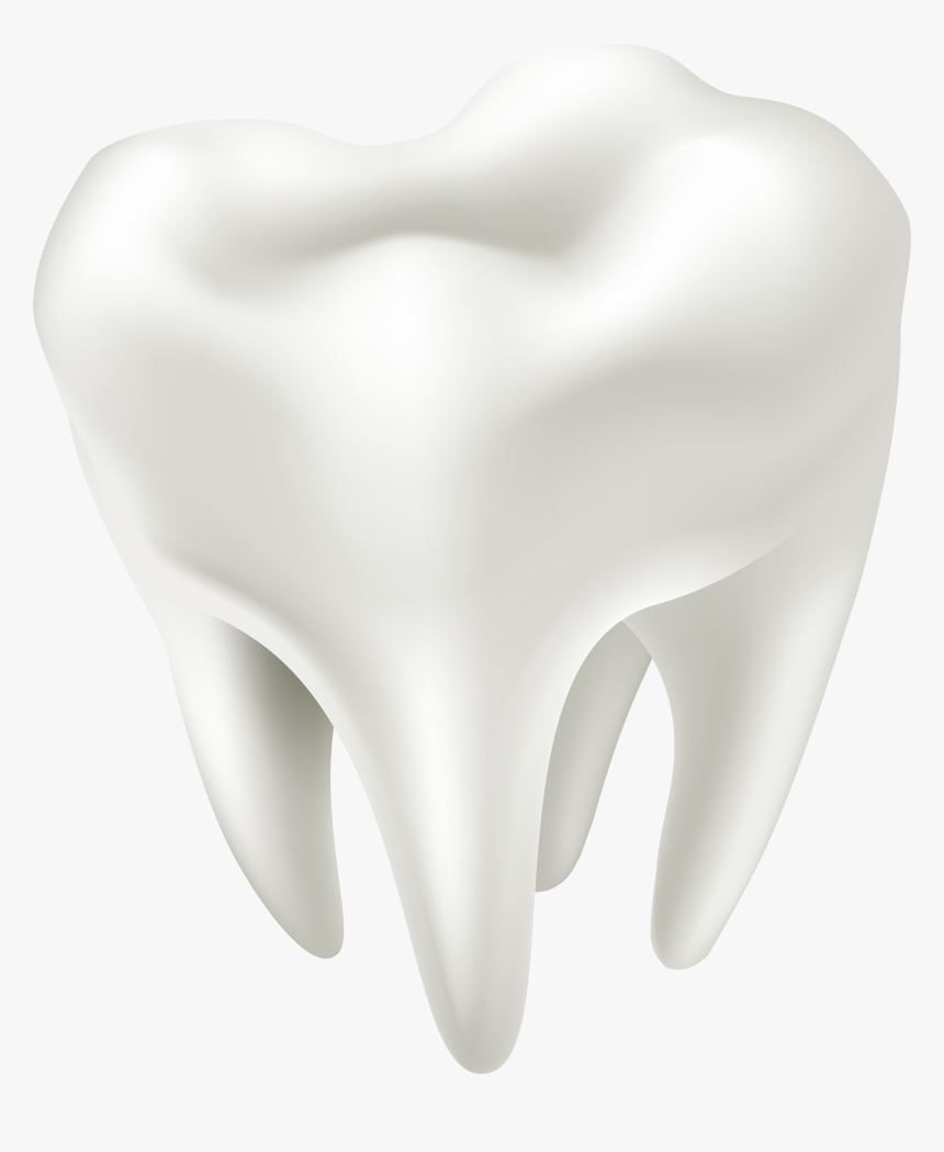 Detail Tooth Transparent Background Nomer 8