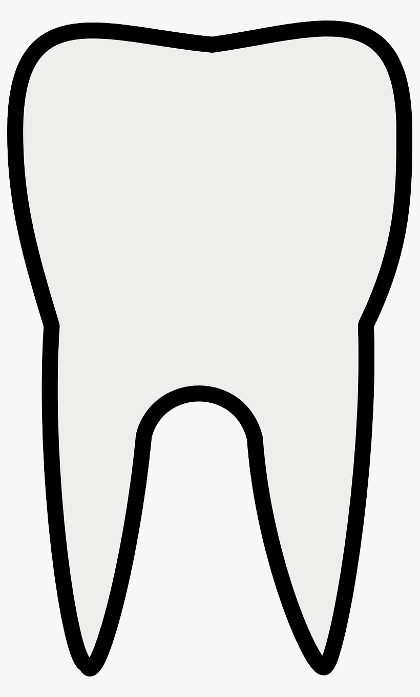 Detail Tooth Vector Png Nomer 14