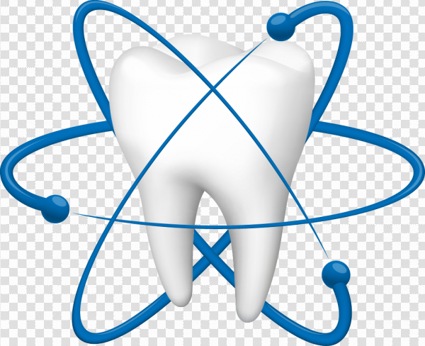 Detail Tooth Vector Png Nomer 15