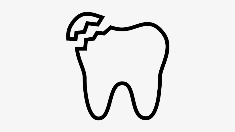 Detail Tooth Vector Png Nomer 16