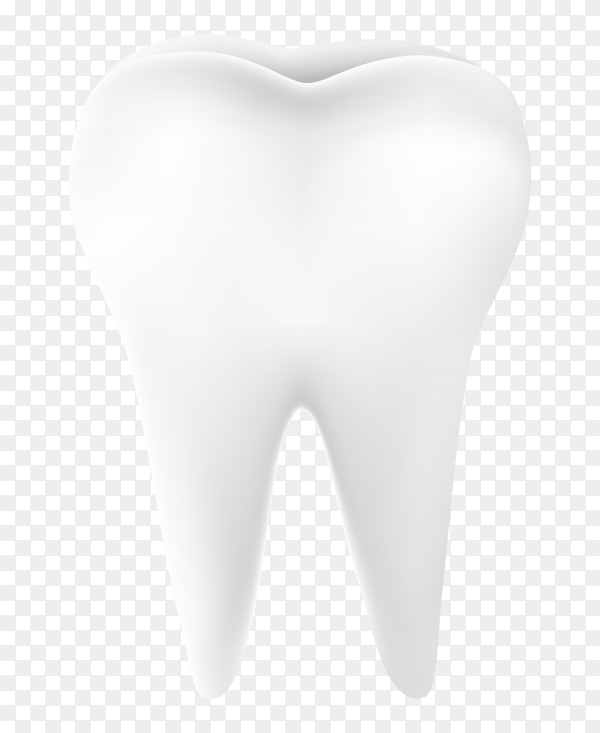 Detail Tooth Vector Png Nomer 3