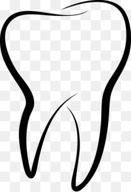 Detail Tooth Vector Png Nomer 21