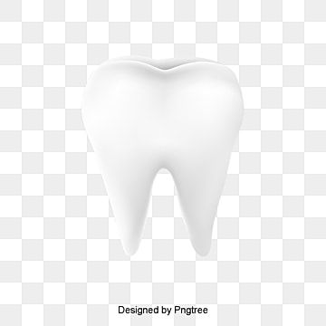 Detail Tooth Vector Png Nomer 31