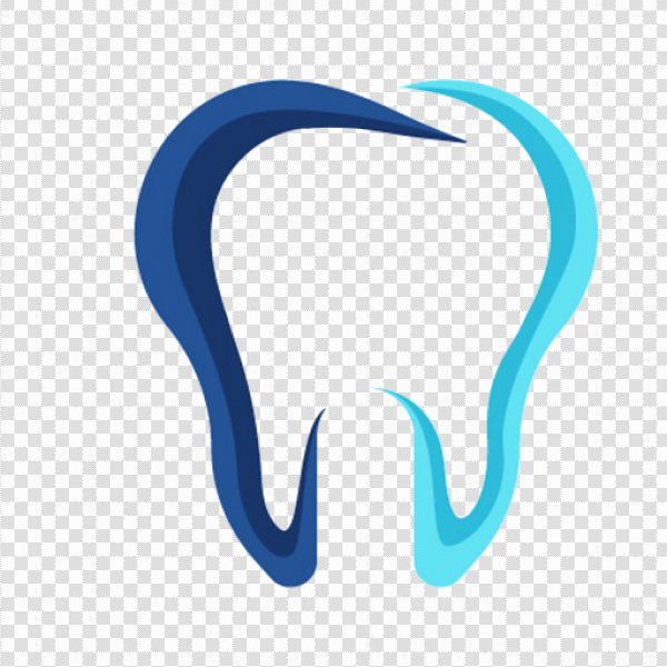 Detail Tooth Vector Png Nomer 36