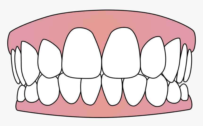 Detail Tooth Vector Png Nomer 38