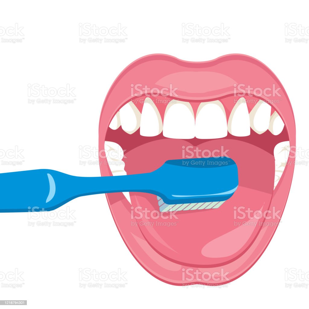 Detail Toothbrush Download Nomer 22