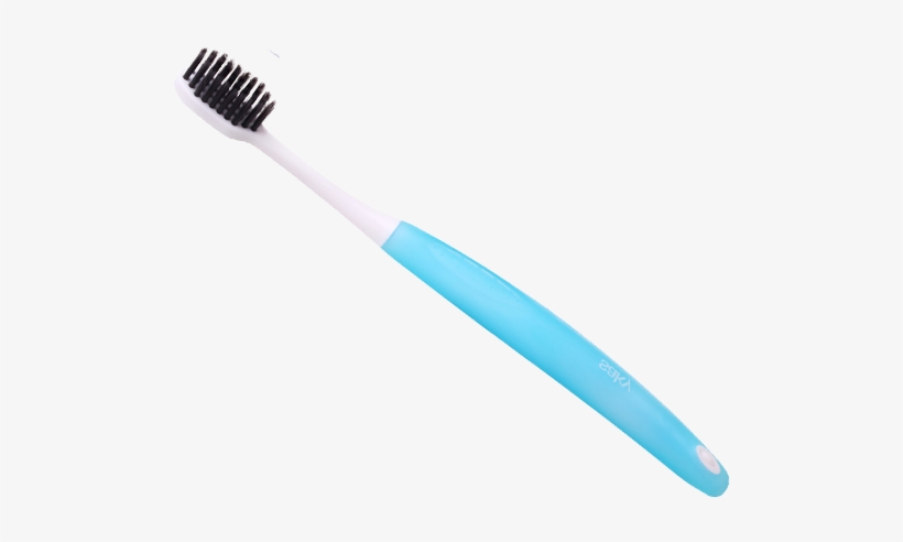 Detail Toothbrush No Background Nomer 18